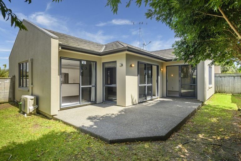Photo of property in 113 Solomon Street, Brookfield, Tauranga, 3110