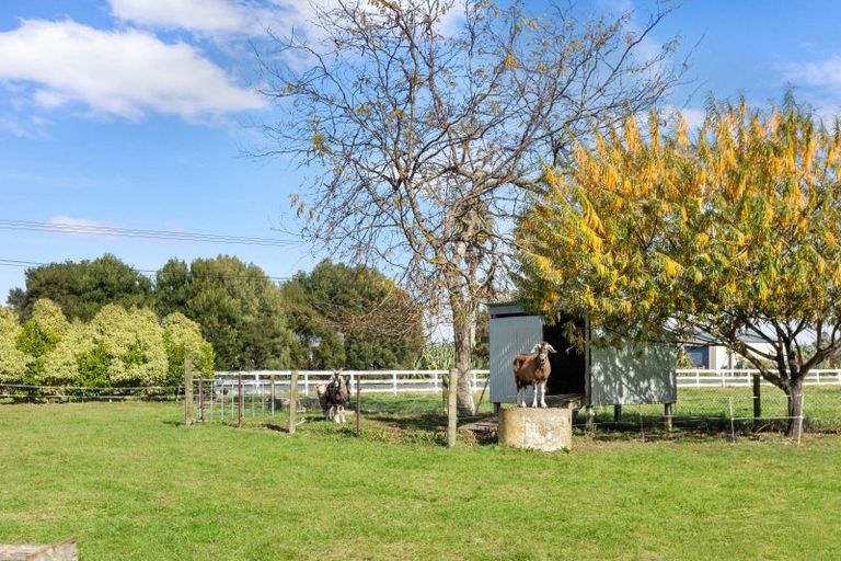 Photo of property in 126 Mccabe Road, Te Aroha, 3393