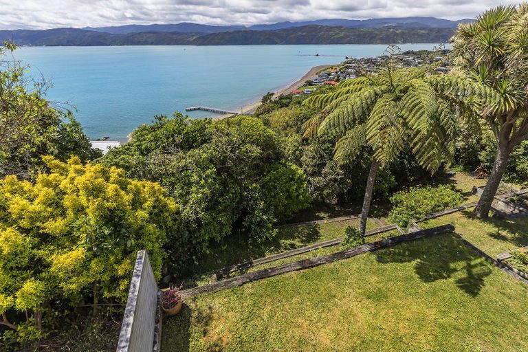 Photo of property in 66 Seatoun Heights Road, Seatoun, Wellington, 6022
