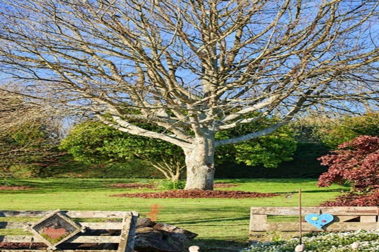 Photo of property in 6 Glasson Road, Rotoorangi, Te Awamutu, 3879