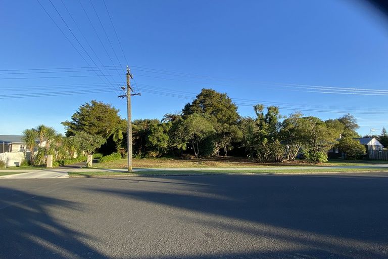 Photo of property in 189 Bartholomew Road, Levin, 5510