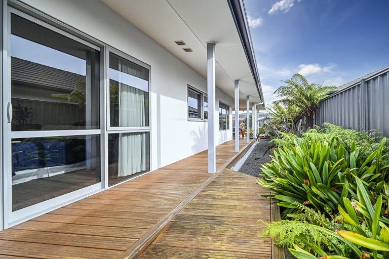 Photo of property in 230 Avondale Road, Greenmeadows, Napier, 4112