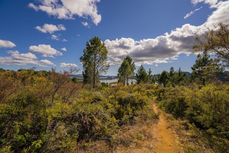 Photo of property in 2826 Tairua Whitianga Road, Kaimarama, Whitianga, 3591