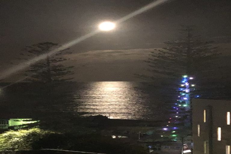 Photo of property in 8 Seaview Terrace, Bluff Hill, Napier, 4110