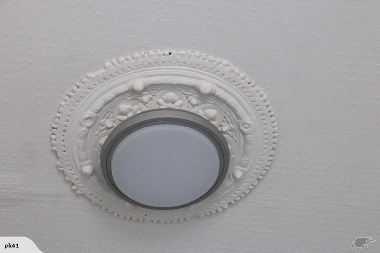 Photo of property in 42 Gladstone Road, North East Valley, Dunedin, 9010