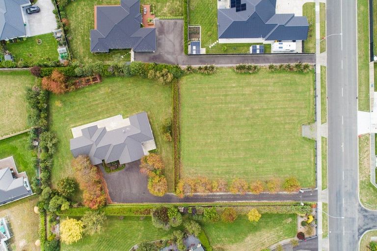 Photo of property in 105 Pharazyn Street, Feilding, 4702