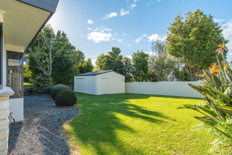 Photo of property in 24 Oleander Lane, Mount Maunganui, 3116