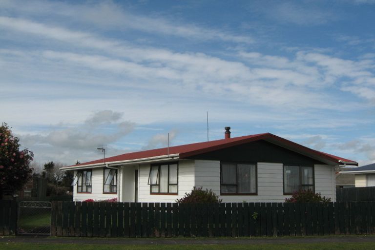 Photo of property in 12 Exeter Street, Stratford, 4332