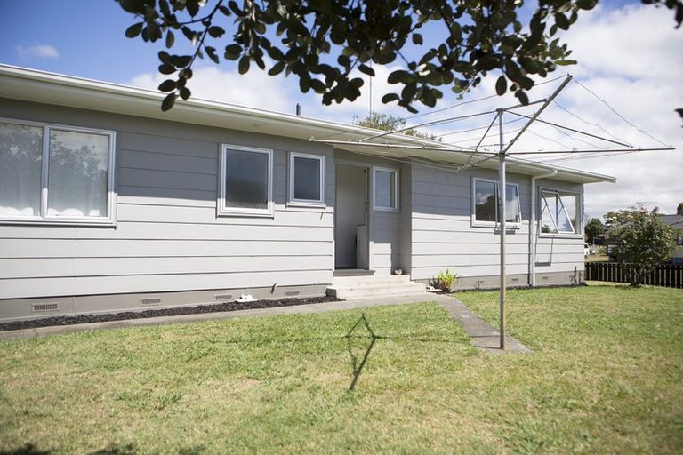 Photo of property in 161 Pollard Drive, Te Awamutu, 3800