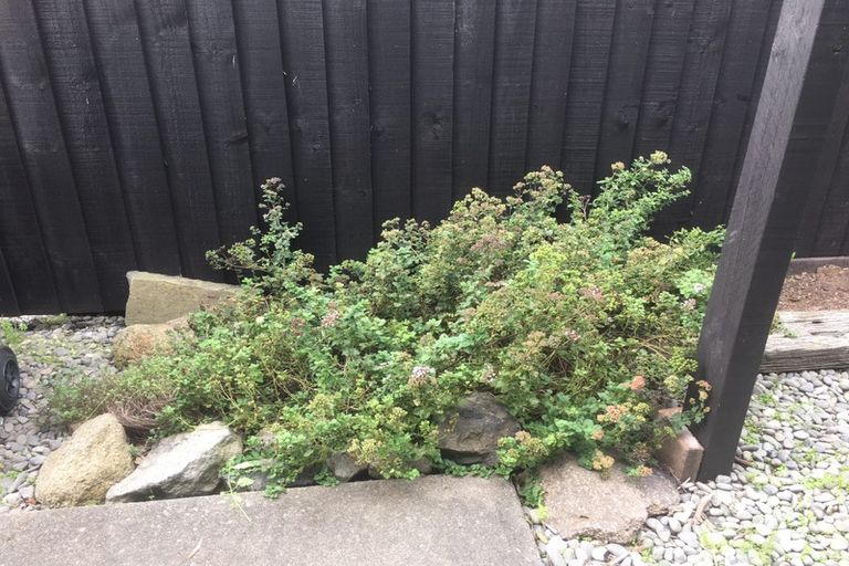 Photo of property in 4/46 Clare Road, St Albans, Christchurch, 8014