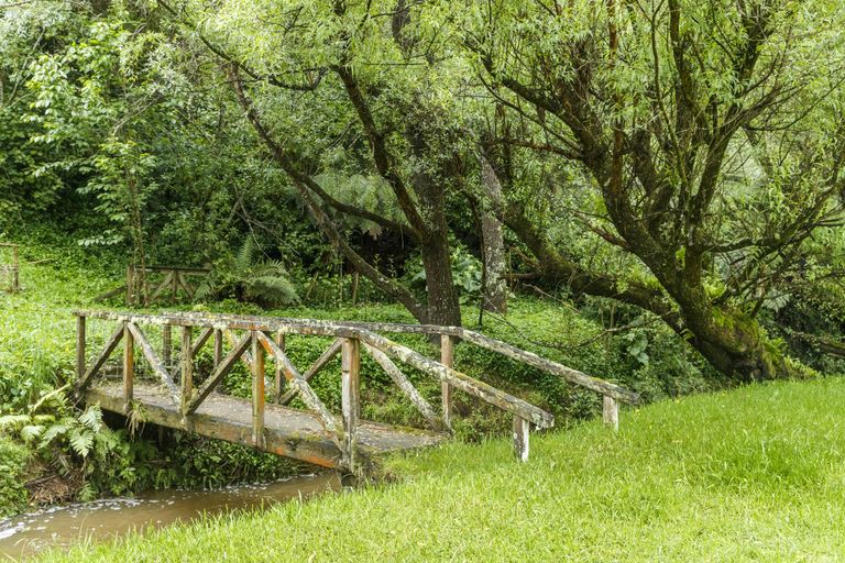 Photo of property in 169 Moonshine Valley Road, Aokautere, Palmerston North, 4471