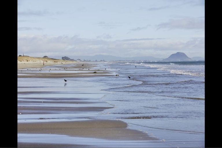 Photo of property in 42 Cassinia Close, Papamoa Beach, Papamoa, 3118