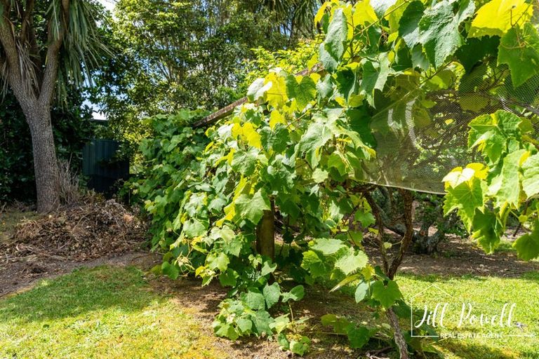 Photo of property in 93c Jumna Road, Maungaturoto, 0587