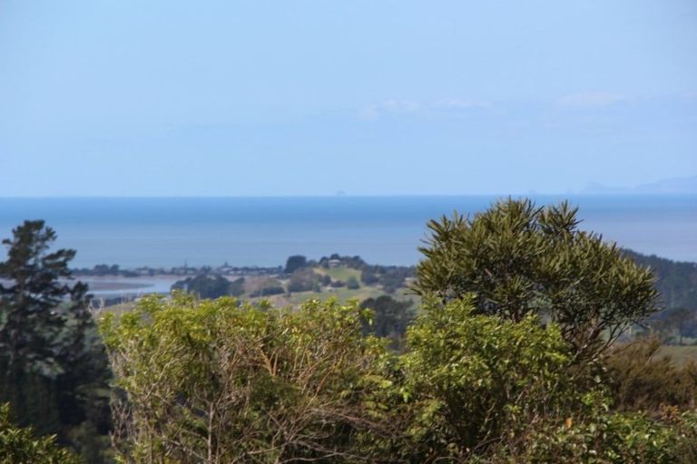 Photo of property in 750 Matakana Valley Road, Whangaripo, Wellsford, 0985