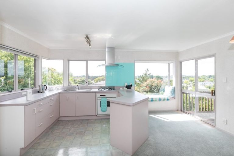 Photo of property in 15b Ridout Street, Maeroa, Hamilton, 3200