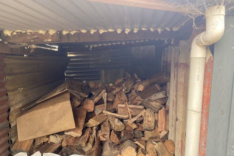 Photo of property in 69 Clarke Street, Gate Pa, Tauranga, 3112