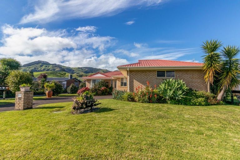 Photo of property in 43 Thames Road, Paeroa, 3600