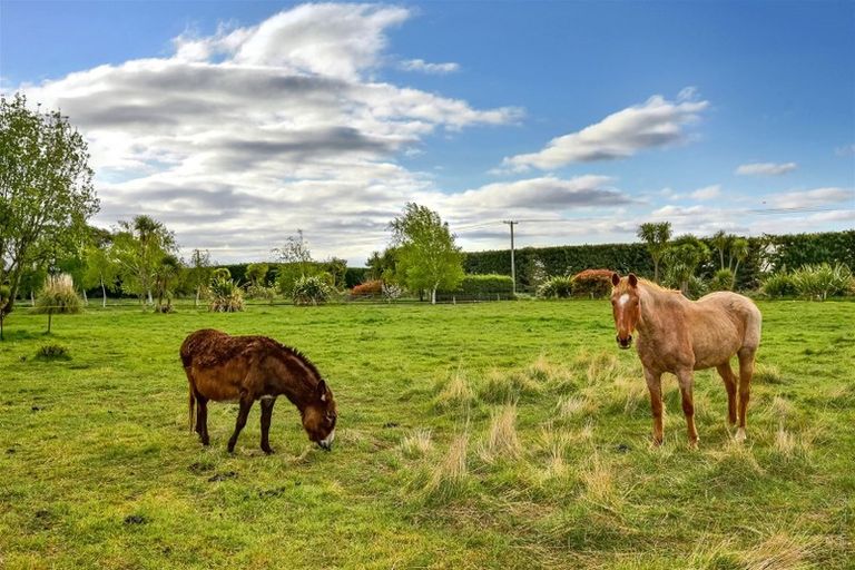 Photo of property in 81 Wolfes Road, Springston, Christchurch, 7674