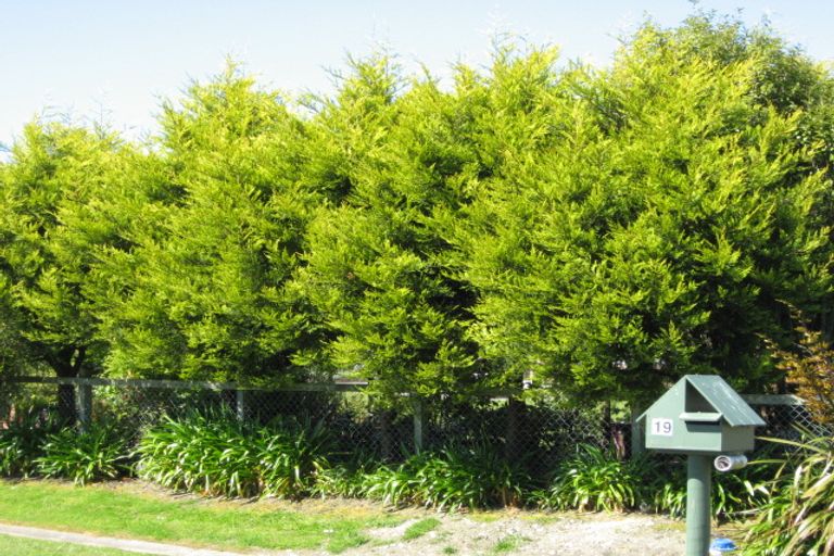 Photo of property in 19 Kew Road, Westport, 7825