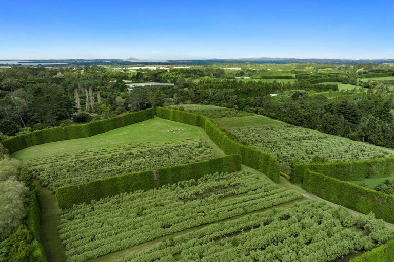 Photo of property in 40 Killen Road, Tahawai, Katikati, 3178