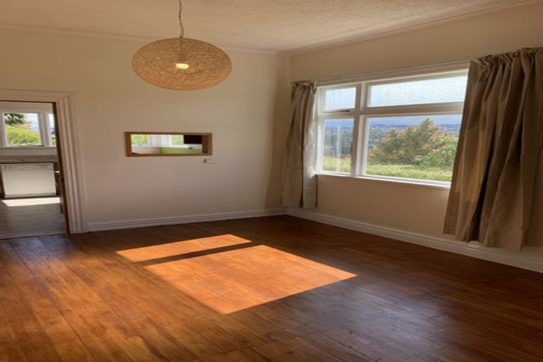 Photo of property in 14 Windsor Street, Opoho, Dunedin, 9010