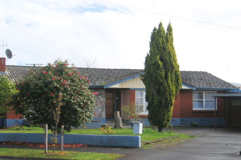 Photo of property in 21 Patrick Place, Fitzroy, Hamilton, 3206