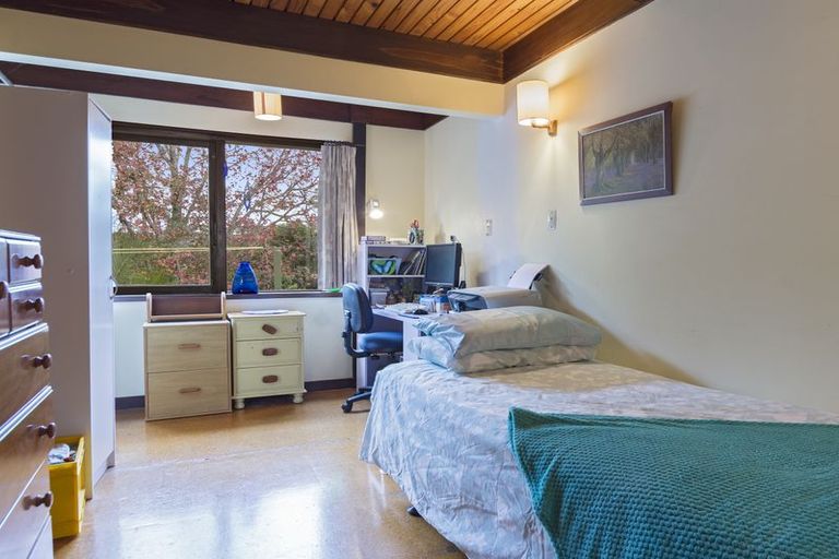 Photo of property in 74 Darraghs Road, Brookfield, Tauranga, 3110