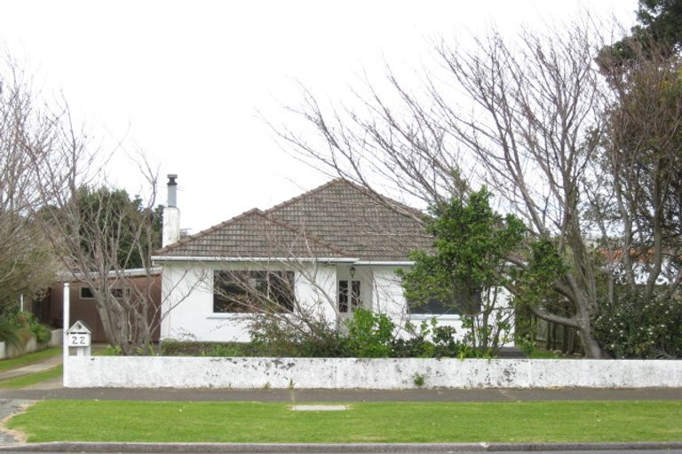 Photo of property in 22 Puni Street, Fitzroy, New Plymouth, 4312