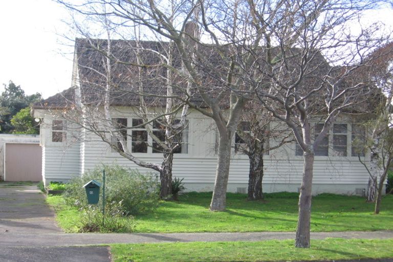 Photo of property in 45 Ihle Street, Terrace End, Palmerston North, 4410