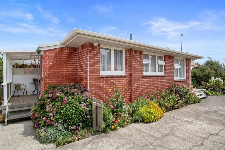 Photo of property in 141 Tirau Street, Putaruru, 3411