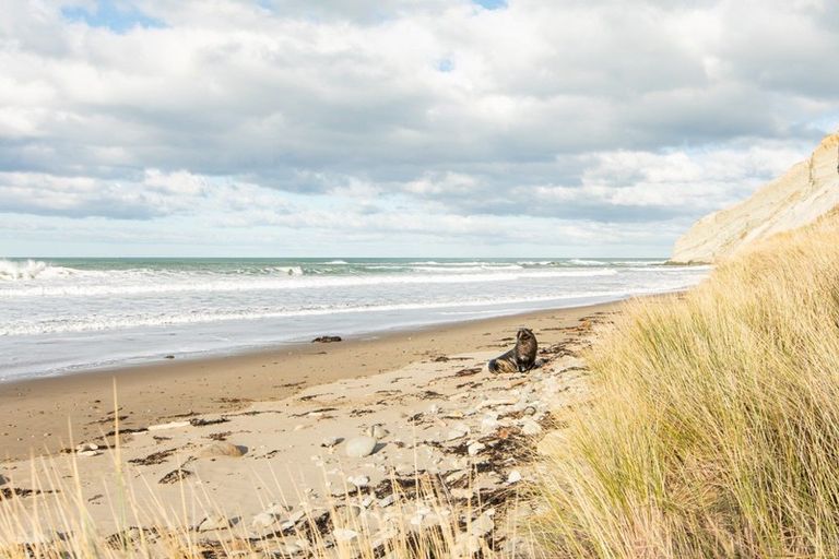 Photo of property in 489 Whangaehu Road, Porangahau, 4293