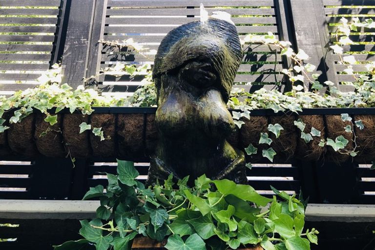 Photo of property in 6/29a Birdwood Crescent, Parnell, Auckland, 1052