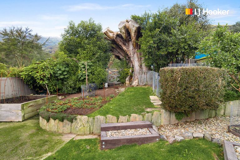 Photo of property in 330 Hillingdon Street, Normanby, Dunedin, 9010