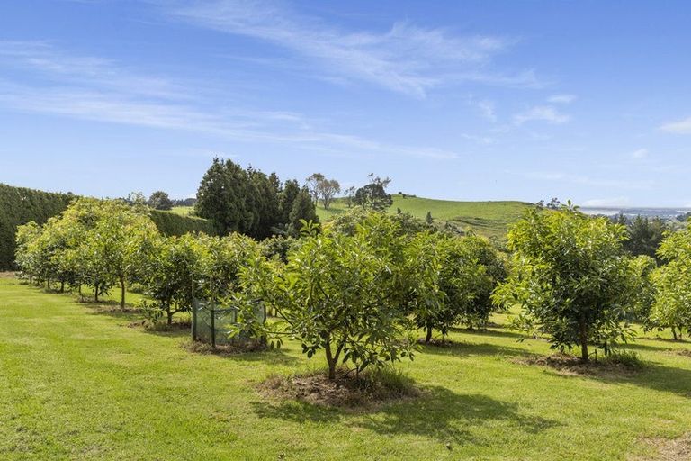 Photo of property in 51 Sinclair Road, Whakamarama, Tauranga, 3179