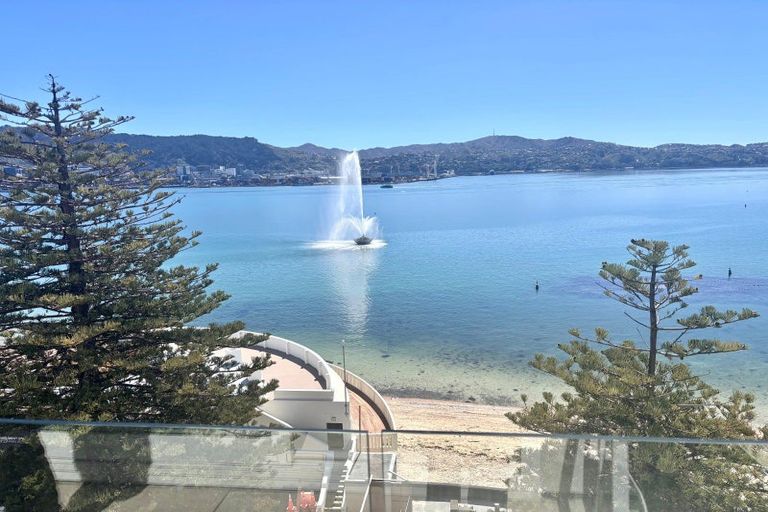 Photo of property in Oriana Apartments, 248 Oriental Parade, Oriental Bay, Wellington, 6011