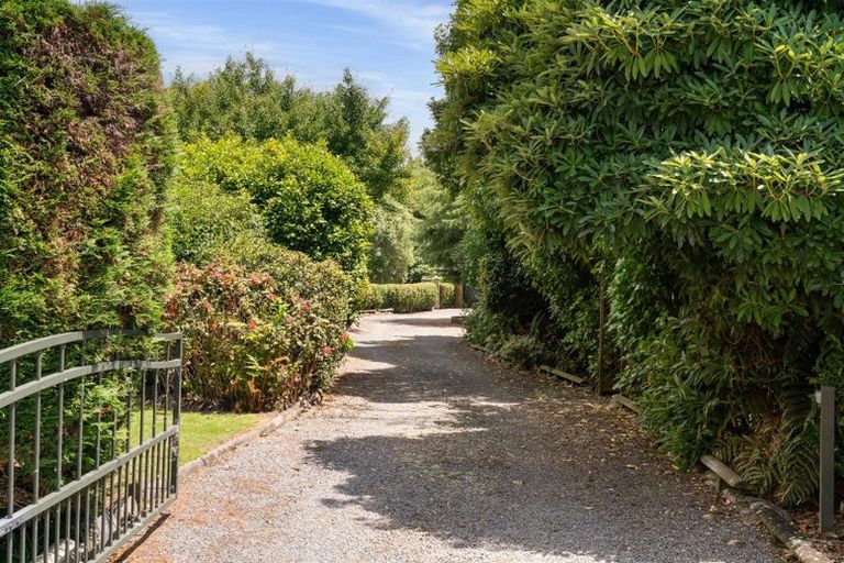 Photo of property in 928 Omanawa Road, Omanawa, Tauranga, 3171