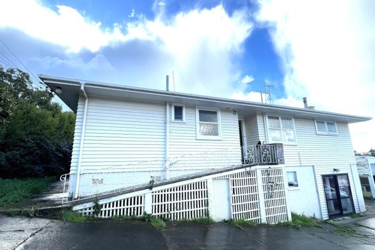 Photo of property in 100 Oakdale Road, Mount Roskill, Auckland, 1041
