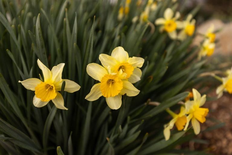 Photo of property in 25 Seniors Road, Wairau Valley, Blenheim, 7271