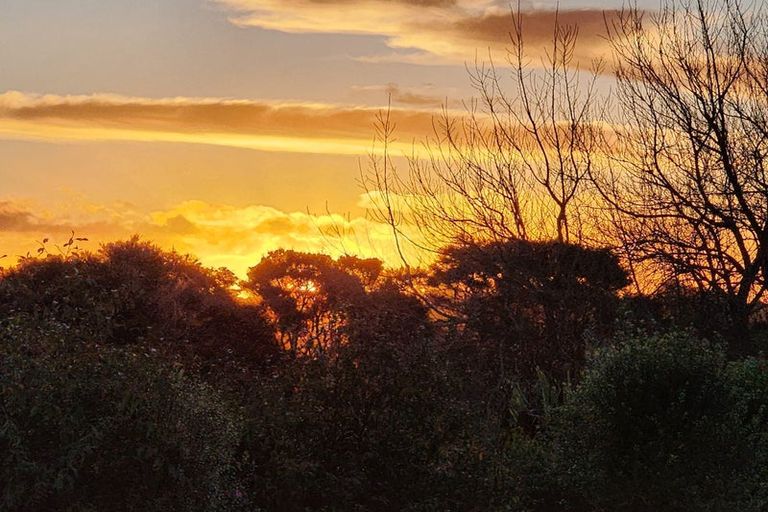 Photo of property in 232 Amreins Road, Taupaki, 0782