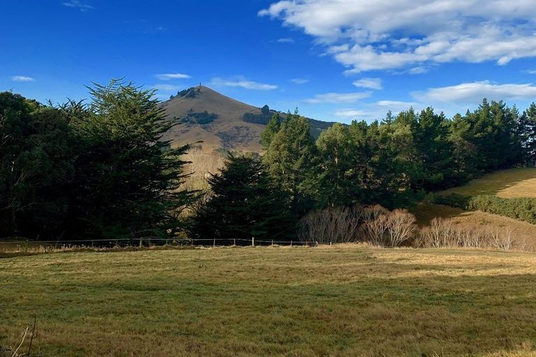 Photo of property in 44 Ronaldsay Street, Palmerston, 9430