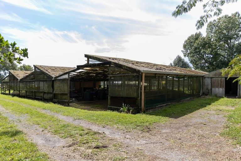 Photo of property in 233b Oropi Gorge Road, Oropi, Tauranga, 3173