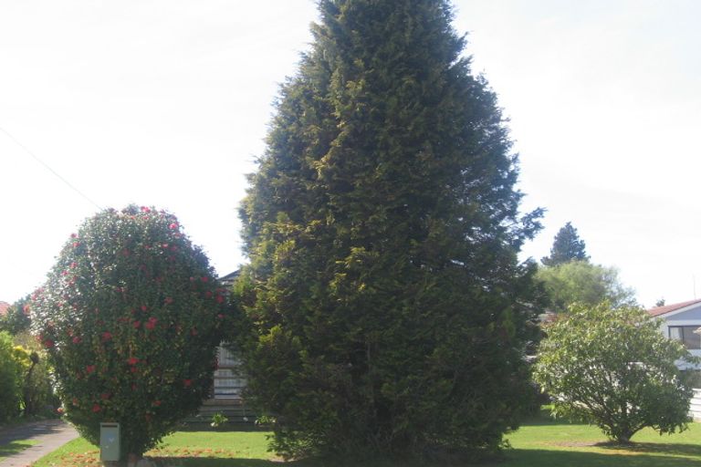 Photo of property in 10 Puriri Crescent, Hillcrest, Rotorua, 3015