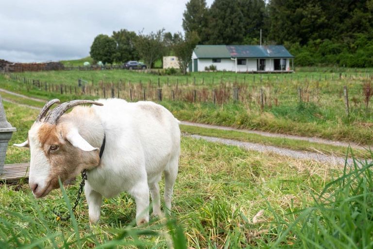 Photo of property in 1091 Oturoa Road, Hamurana, Rotorua, 3072