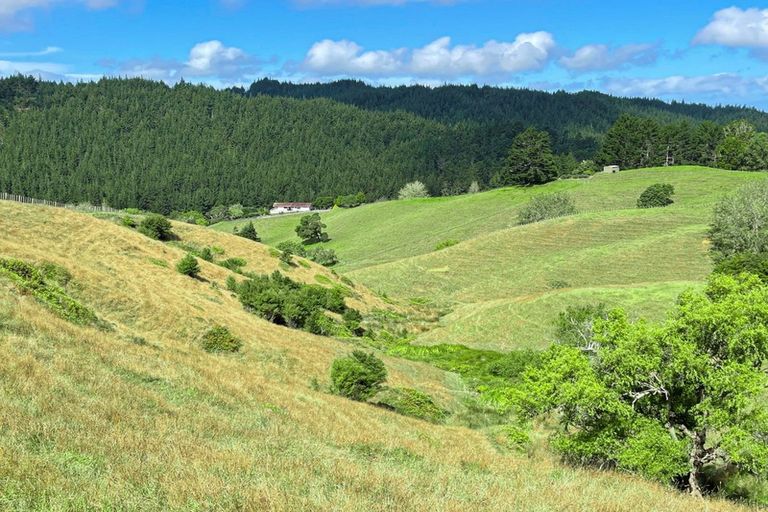 Photo of property in 475 Ahuroa Road, Puhoi, Warkworth, 0994