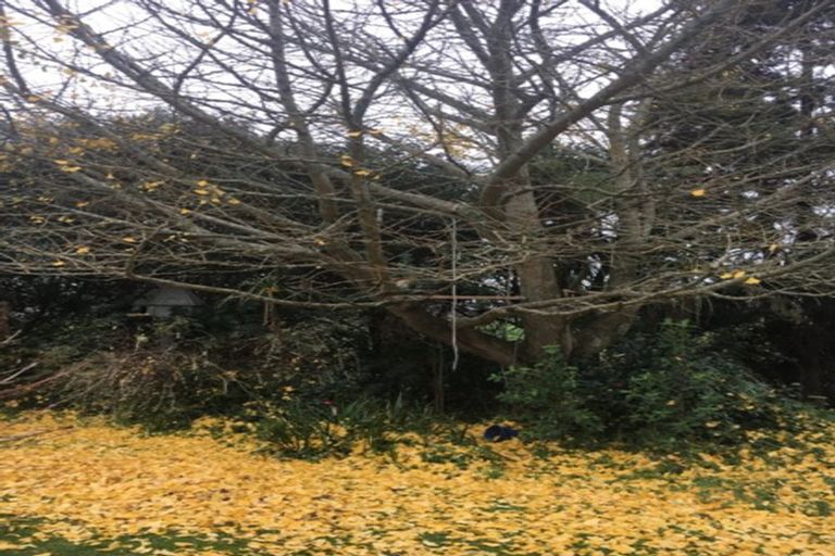 Photo of property in 83 Tuhikaramea Road, Dinsdale, Hamilton, 3204