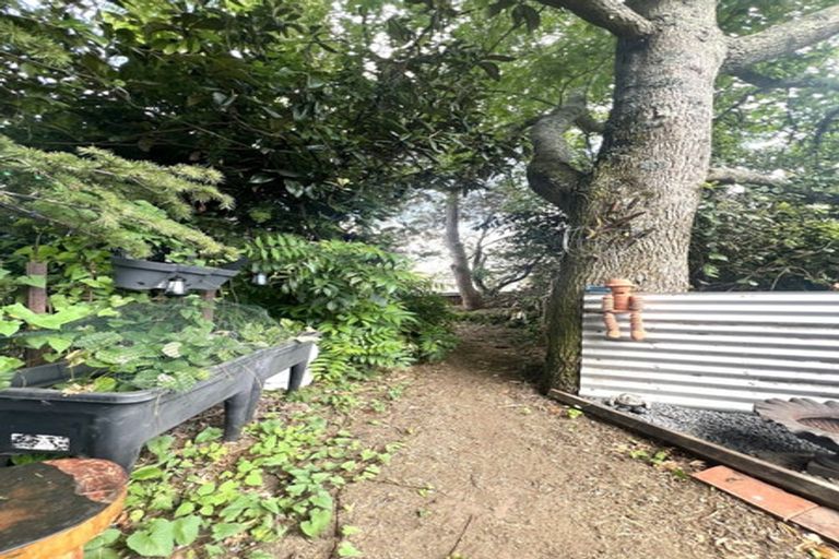 Photo of property in 52 Te Kumi Road, Te Kuiti, 3910