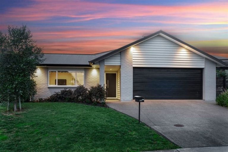 Photo of property in 65 Madison Terrace, Silverdale, 0932