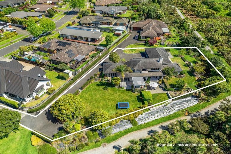 Photo of property in 49 Athfield Drive, Bethlehem, Tauranga, 3110
