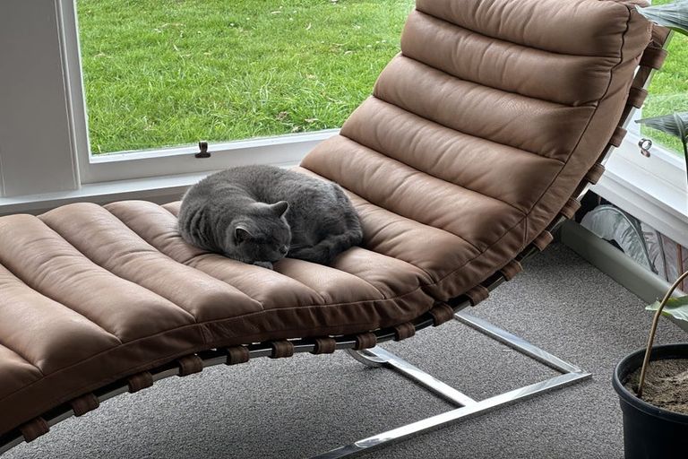 Photo of property in 137 Main North Road, Woodend, 7610