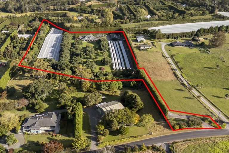 Photo of property in 241 Rea Road, Tahawai, Katikati, 3178